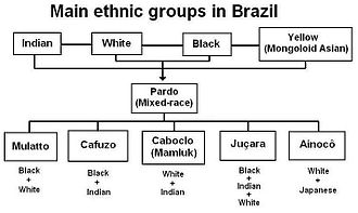 Race and ethnicity in Brazil - Wikipedia