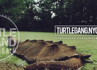 Turtle Snaps Back episode 2 White Dog